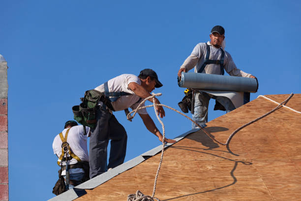 Best Residential Roofing Contractor  in Brookwood, AL