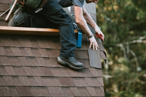 Best Roof Gutter Cleaning  in Brookwood, AL
